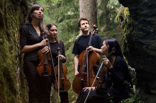 quartetto lyskamm