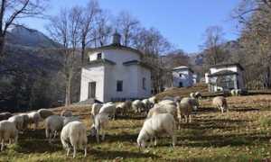 sacro monte orta