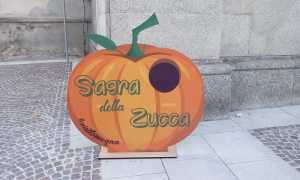 sagra zucca 2018 bis