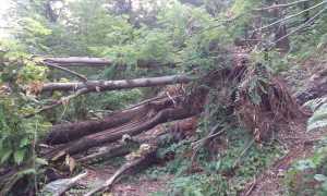 sentierocrabbia pettenasco