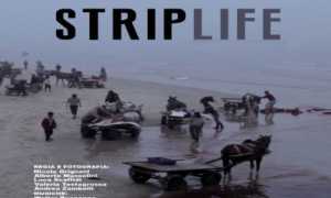 striplife gaza