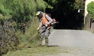 tagliare erba