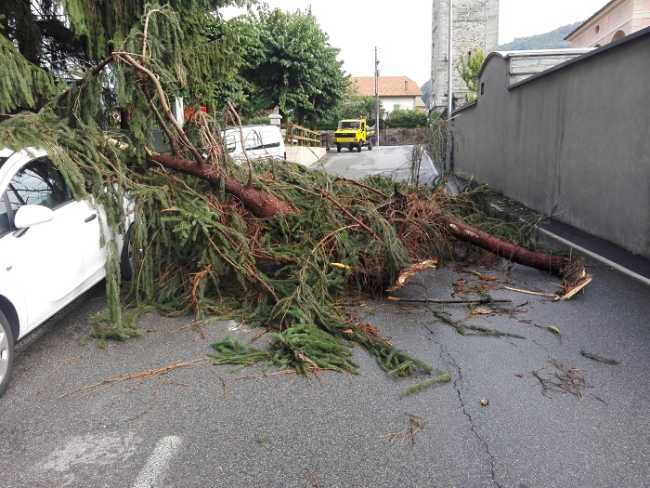 temporale pettenasco