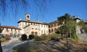 v nigra miasino ago 15