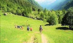 valformazzaPomatt270