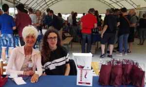 wine festival pettenasco