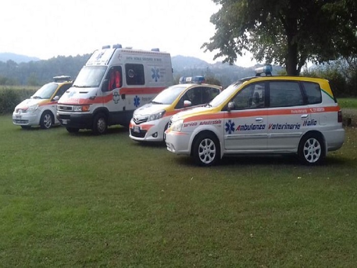 A Borgosesia un anno con il servizio Ambulanze veterinarie