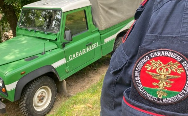 Controlli sulla caccia: carabinieri forestali denunciano sei persone