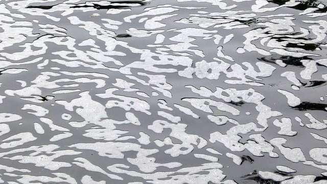 schiuma
