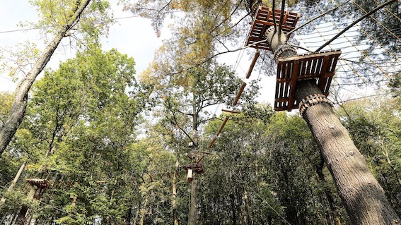adventure park