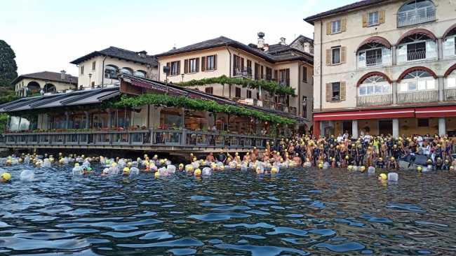 nuotata orta 2019