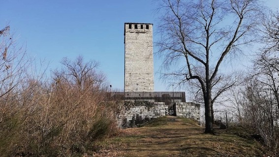 torre buccione copia