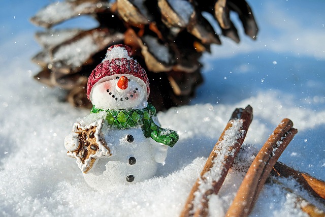 Natale neve