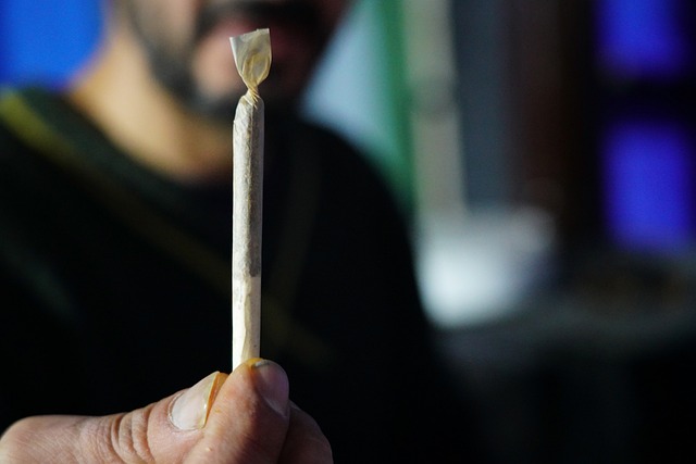 cannabis smoking 5890427 640