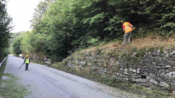 casale cc prot civ 2