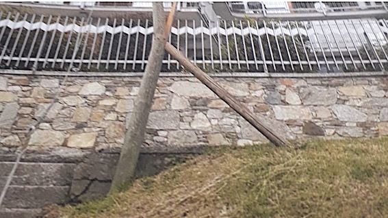 pettenasco palo