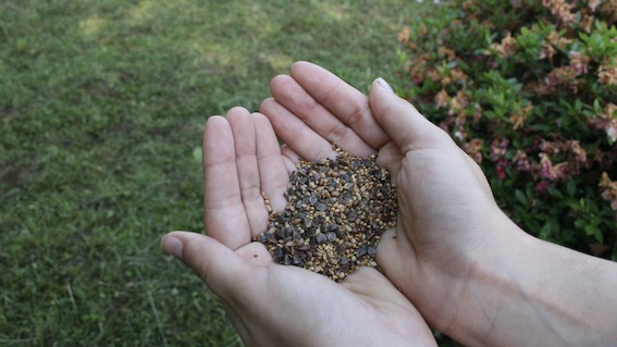 agrano api