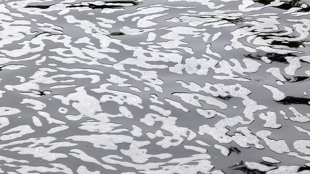 legaambiente lagoorta