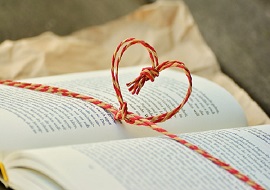 presentaziolibro270