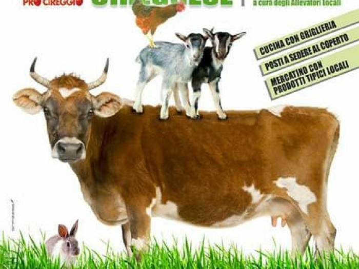Cireggio è in festa per la terza edizione della Fiera Agricola Zootecnica