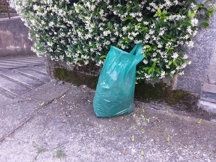 Dal 2018 cambia la raccolta del verde a Gravellona. Sui social esplode la polemica.Foto