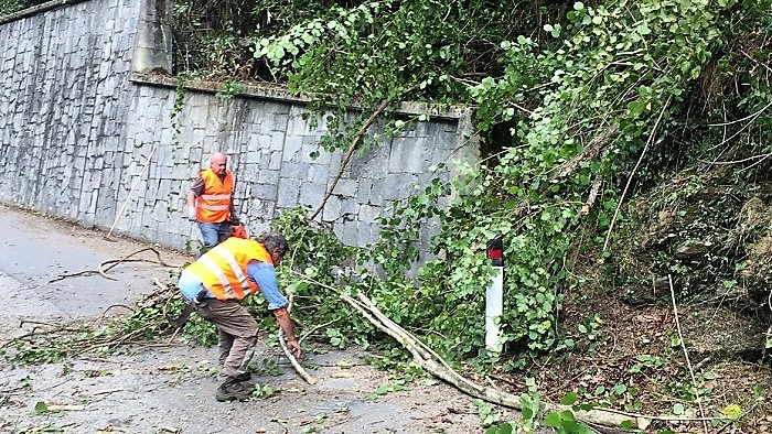 Valle Strona: quaranta volontari puliscono la strada provinciale. Foto