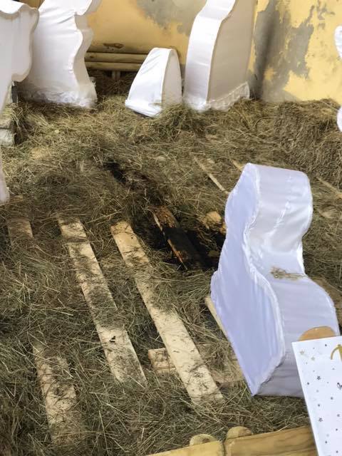 48415718 10217716033083178 591982970269597696 n